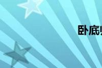 卧底归来杨欢