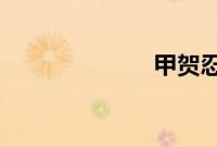 甲贺忍法帖豆瓣