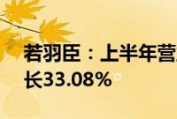 若羽臣:上半年营业收入7.87亿元,同比增长33.08%