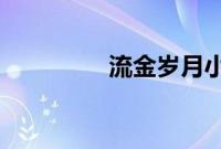 流金岁月小说结局是什么