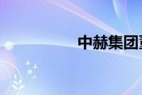 中赫集团董事长周金辉