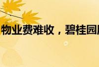 物业费难收,碧桂园服务成立欠款追讨委员会