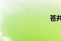 苍井空凤姐