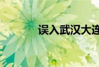误入武汉大连小伙客串在一起