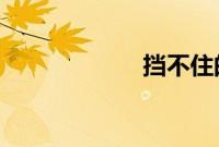 挡不住的疯情高清