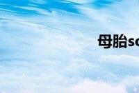 母胎solo的意思