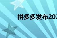 拼多多发布2024年第二季度财报