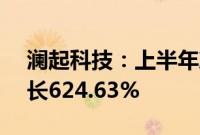澜起科技：上半年净利润5.93亿元，同比增长624.63%