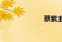 蔡紫主持人老公
