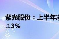 紫光股份：上半年净利润10亿元，同比下降2.13%