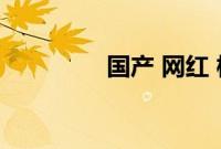 国产 网红 模特 主播 视频
