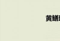 黄鳝琪琪视频