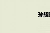 孙耀琦的老公