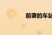 前妻的车站全集在线观看