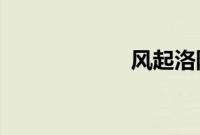 风起洛阳更新时间
