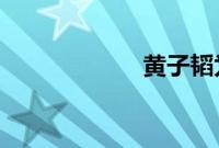 黄子韬为什么被黑