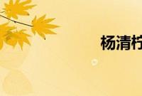 杨清柠个人资料