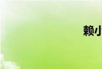 赖小民明星