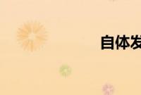 自体发光办公室