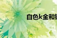 白色k金和铂金是一回事吗
