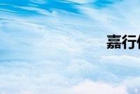 嘉行传媒老板