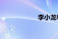 李小龙粤语语音包
