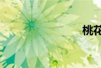 桃花的战争