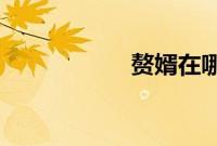 赘婿在哪个平台播出