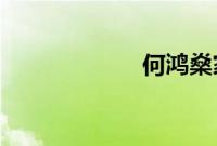 何鸿燊家的关系图