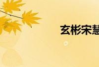 玄彬宋慧乔分手原因