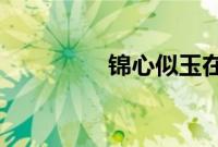 锦心似玉在哪个卫视播出