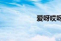 爱呀哎呀我愿意全集