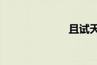 且试天下大殿下