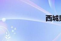 西城男孩 解散