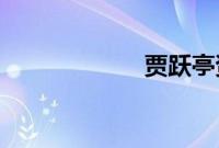 贾跃亭资产再流拍