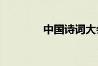 中国诗词大会第五季主持人