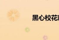 黑心校花赖上恶质校草