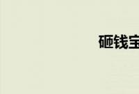 砸钱宝马女微博