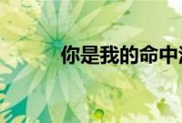你是我的命中注定在线观看免费