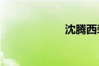 沈腾西装里穿背心