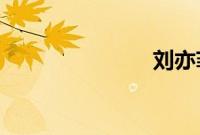 刘亦菲冯绍峰