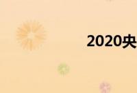 2020央视春晚导演