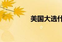 美国大选什么时候出结果