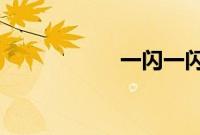 一闪一闪亮星星票房