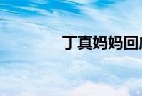 丁真妈妈回应儿子入职国企