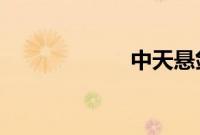 中天悬剑全集下载