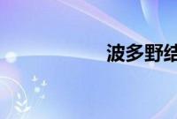 波多野结衣教师全集