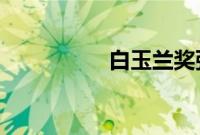 白玉兰奖张颂文呼声高
