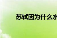 苏轼因为什么水果不辞长作岭南人