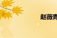 赵薇青涩学生照